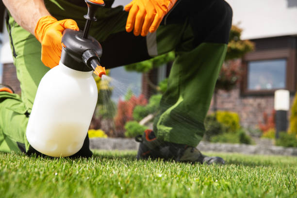 Best Pest Control Near Me  in West Vero Corridor, FL