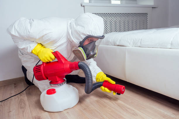 Pest Prevention Services in West Vero Corridor, FL