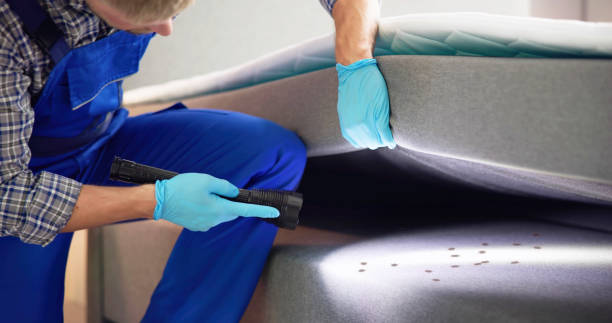 Best Flea Control Services  in West Vero Corridor, FL