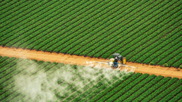 Best Pest Control Near Me in West Vero Corridor, FL